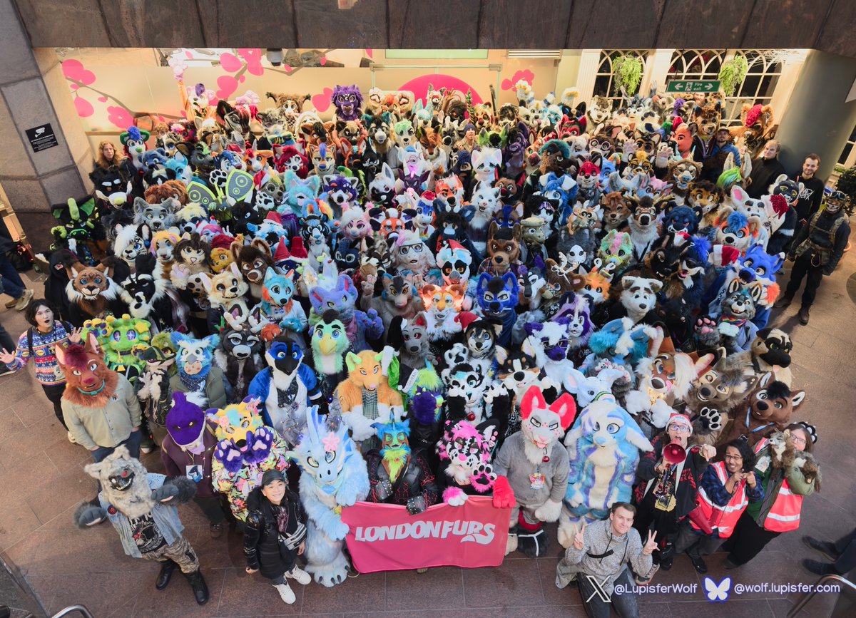 LondonFurs tweet media