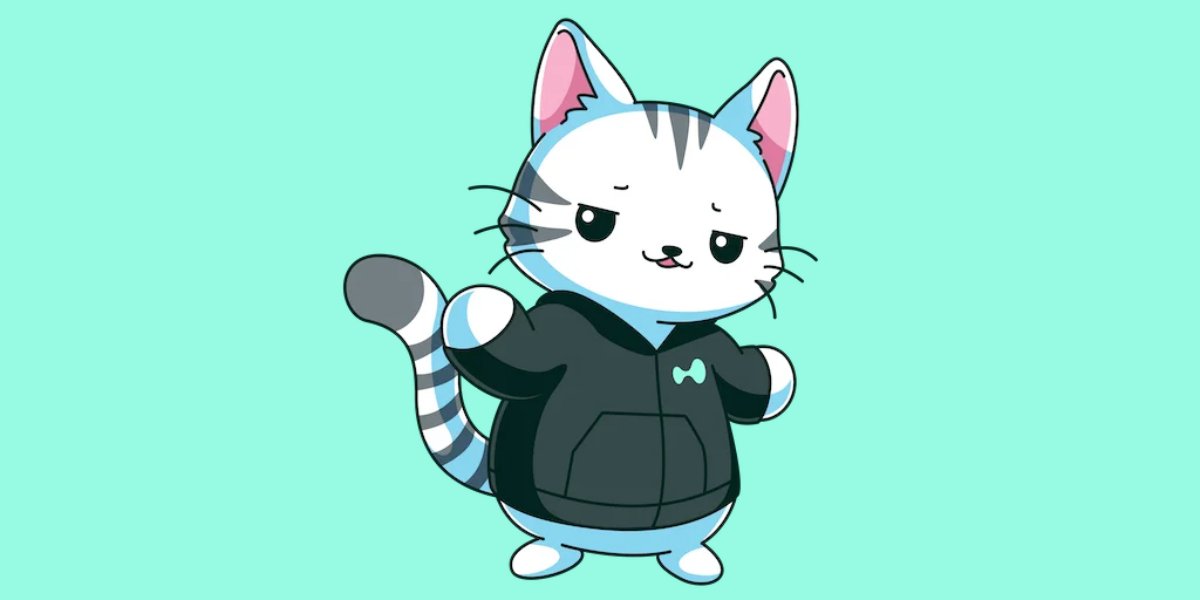 Bitcoineo 🎲 tweet media