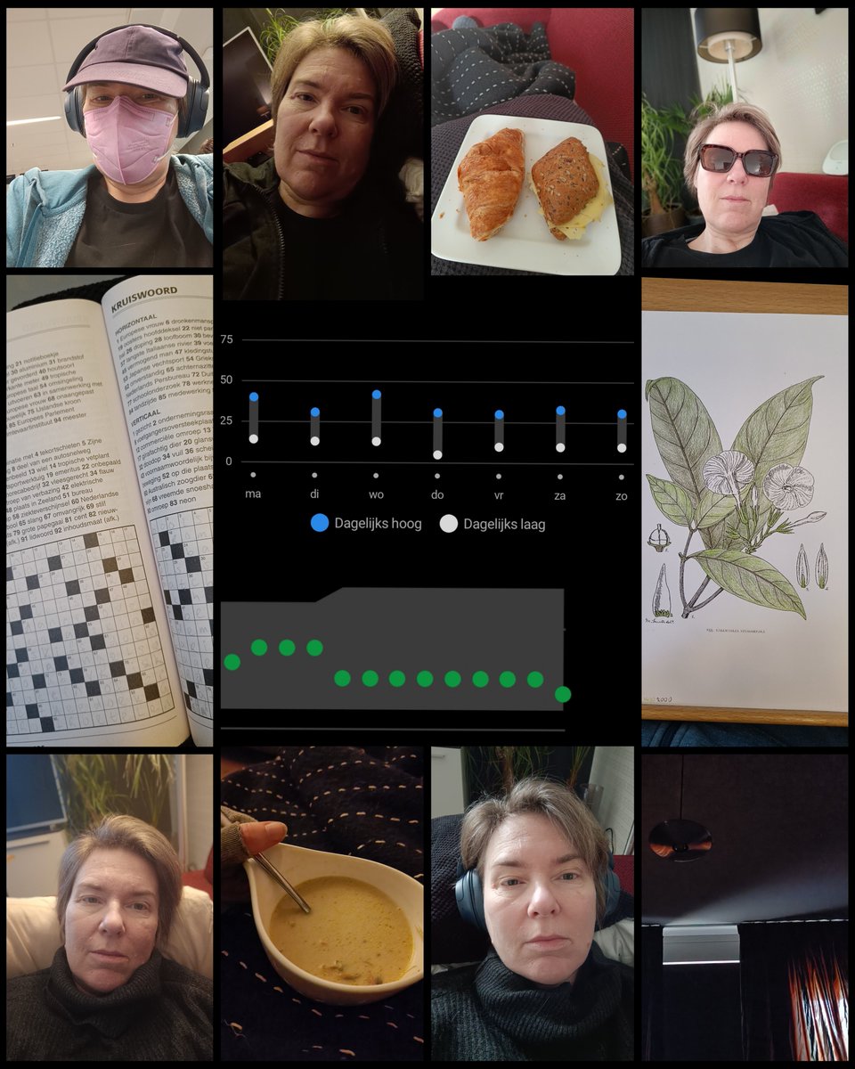 frieke72 @ mstdn.social tweet media