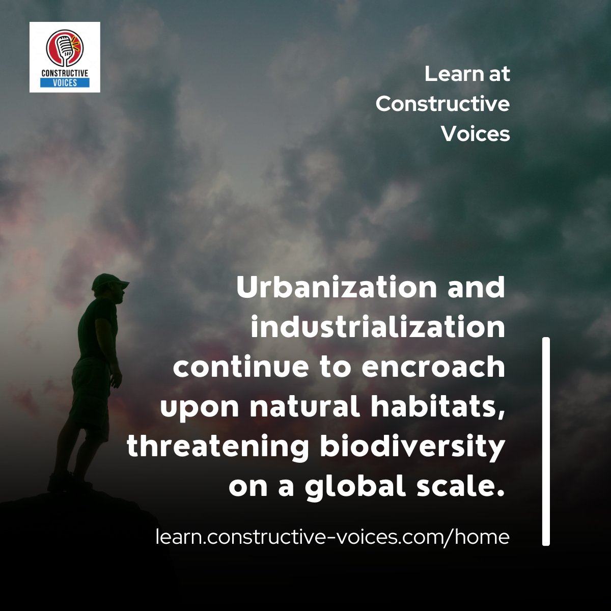 "Urbanization and industrialization continue to encroach upon natural habitats, threatening biodiversity on a global scale." #biodiversity #biodiversitynetgain #training - learn.constructive-voices.com/home/