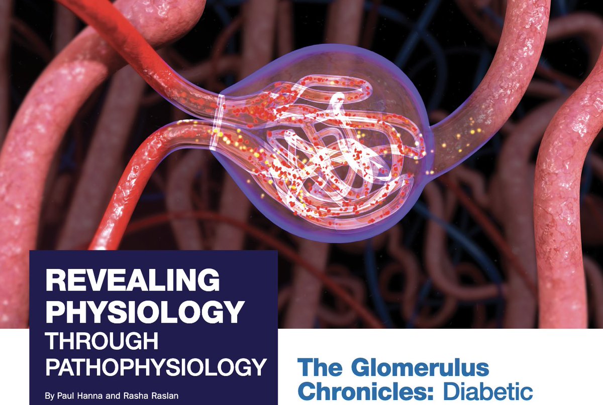DukeKidney's tweet photo. New ASN Kidney News series of articles by APD Dr Raslan and colleagues is out

Revealing Physiology Through Pathophysiology

https://t.co/1cu2NqJNZL https://t.co/BRF83cVuZF