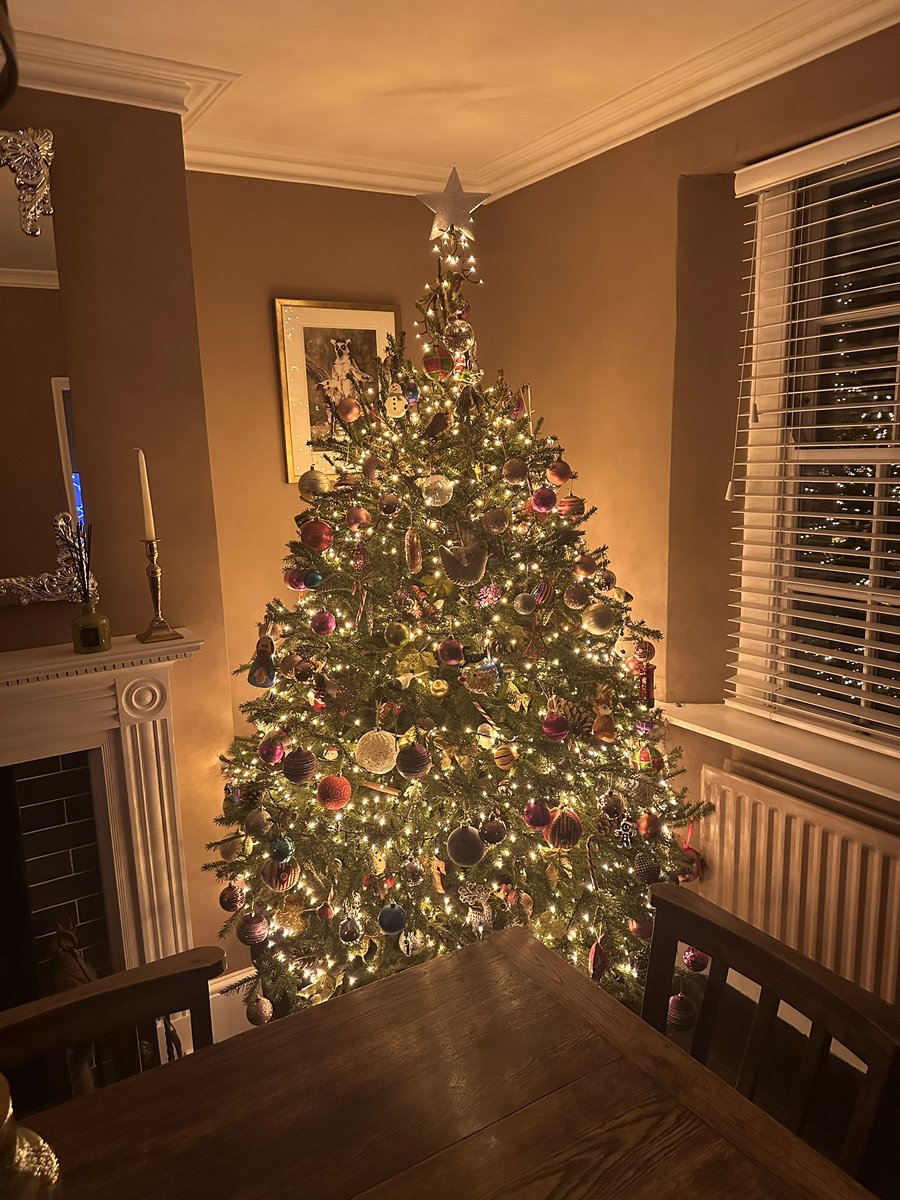 That’s the Christmas Tree up for another year 🎄