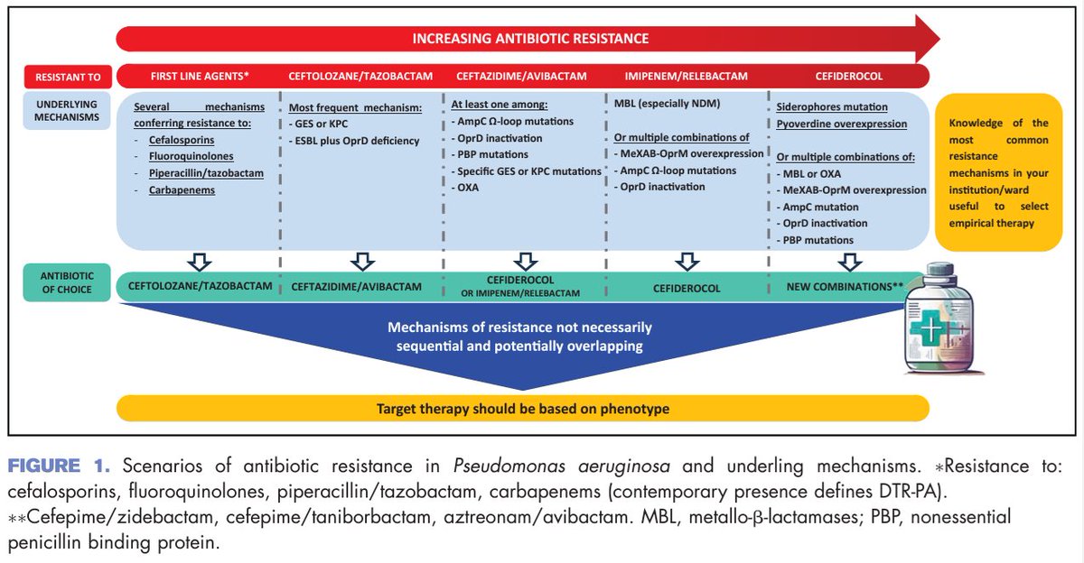 📉 Resistencia antibiótica en Pseudomonas aeruginosa

Este esquema muestra los mecanismos clave y las opciones terapéuticas para tratar infecciones por P. aeruginosa con resistencia creciente.
doi.org/10.1097/qco.00…