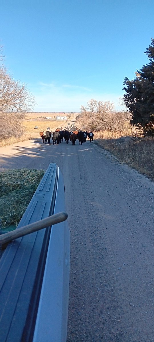poochgross's tweet photo. Up the hill we go https://t.co/VZ2bQgjnNj