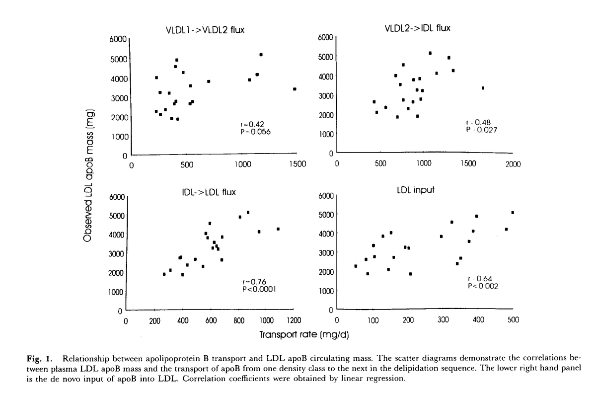 drpablocorral's tweet image. Over 30 years ago, this group uncovered the pivotal relationship between VLDL2 overproduction and LDL levels, shaping our understanding of lipid metabolism and cardiovascular risk #LMHR

Overproduction of small very low density lipoproteins (S, 20-60) in moderate