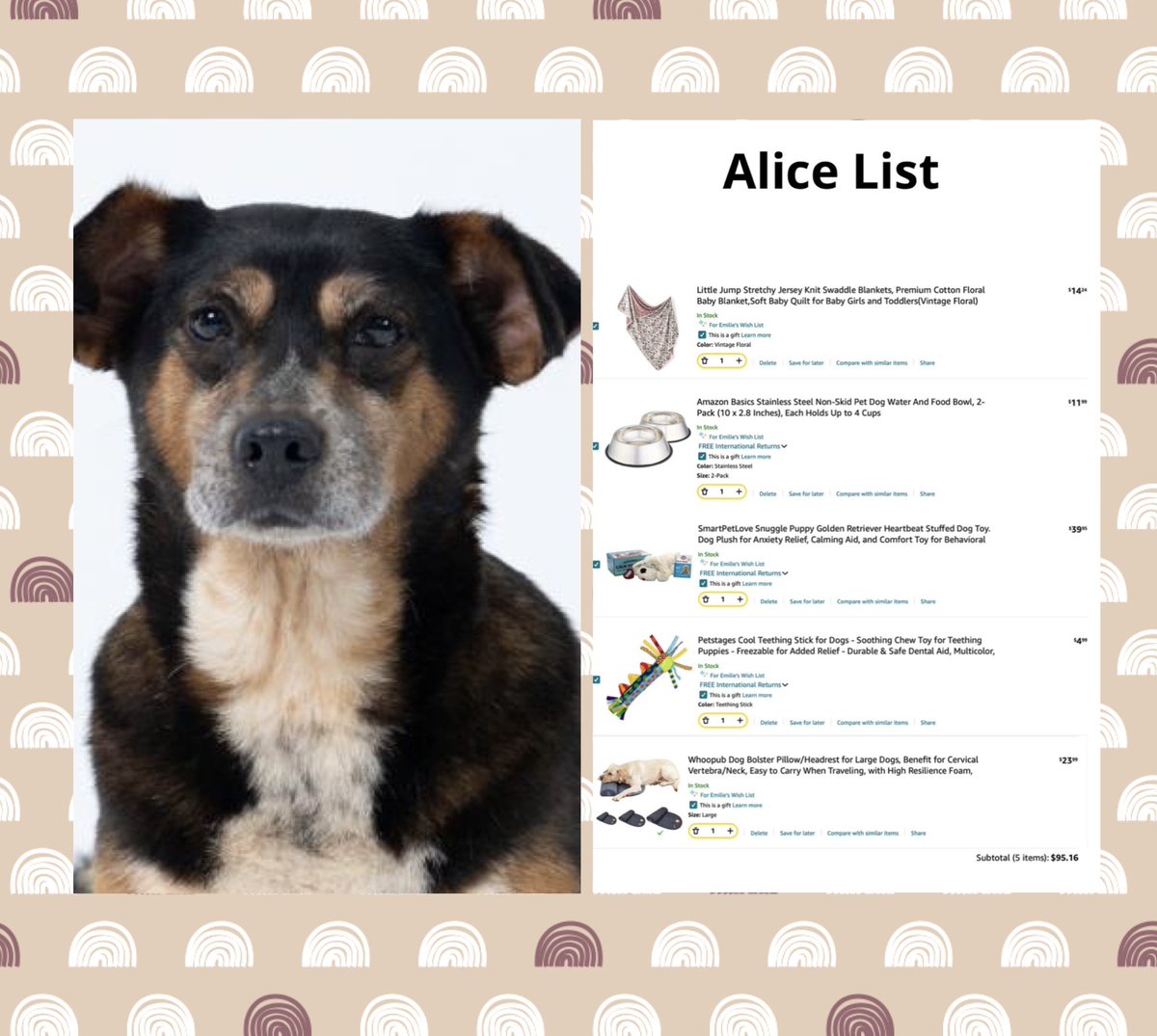 winniepoodl's tweet photo. Winnie fans, this week simply wouldn't be a success without Alice 🌹, our oldest resident at the beautiful dog shelter. Well deserved, Alice, enjoy your golden years! ❤️🥇
#joeysfriends #amazon #dogrescue #makingachange https://t.co/5rjI8GNsmC