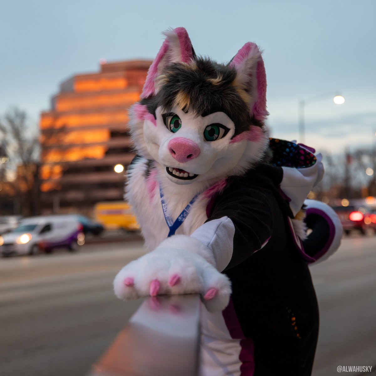 Alwa π CFz,MFF (@alwahusky) on Twitter photo Finally tried the infamous <a href="/Melon_mow/">Soju cat β οΈ</a> pose.. π
MFF has been a blast! Had so much fun suiting yesterday, so many people! πΎ
πΈ marta.nz
#MFF2024 Finally tried the infamous <a href="/Melon_mow/">Soju cat β οΈ</a> pose.. π
MFF has been a blast! Had so much fun suiting yesterday, so many people! πΎ
πΈ marta.nz
#MFF2024