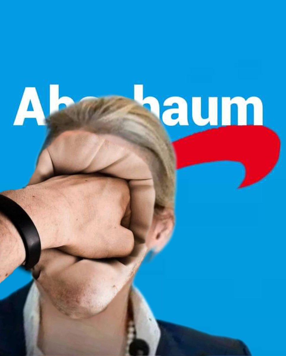R5v3N's tweet photo. @Alice_Weidel https://t.co/dYBA50JJiz
