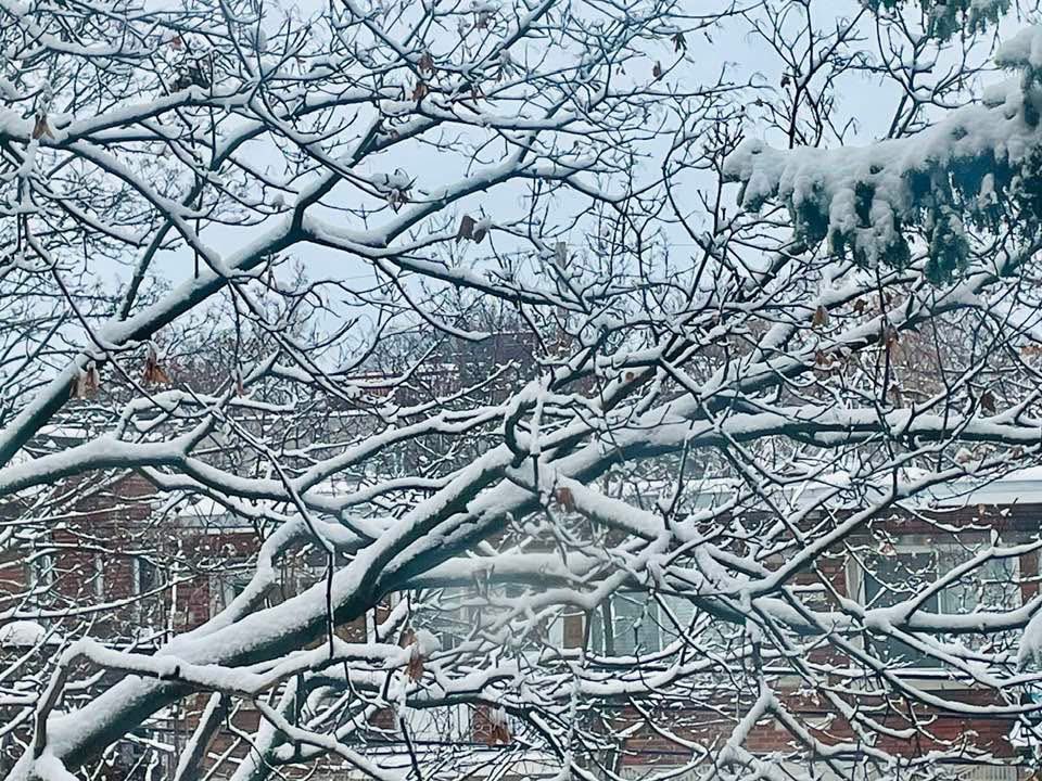 4ineGodin's tweet photo. combien de fois l'eau redevient-elle neige
depuis quatre milliards d'années

et combien de fois mon propre sang fait de cette eau

si ce n'est qu'une seule, laisse-moi entendre l'arbre, l'oiseau et l'enfant https://t.co/fr6LLG5yBC