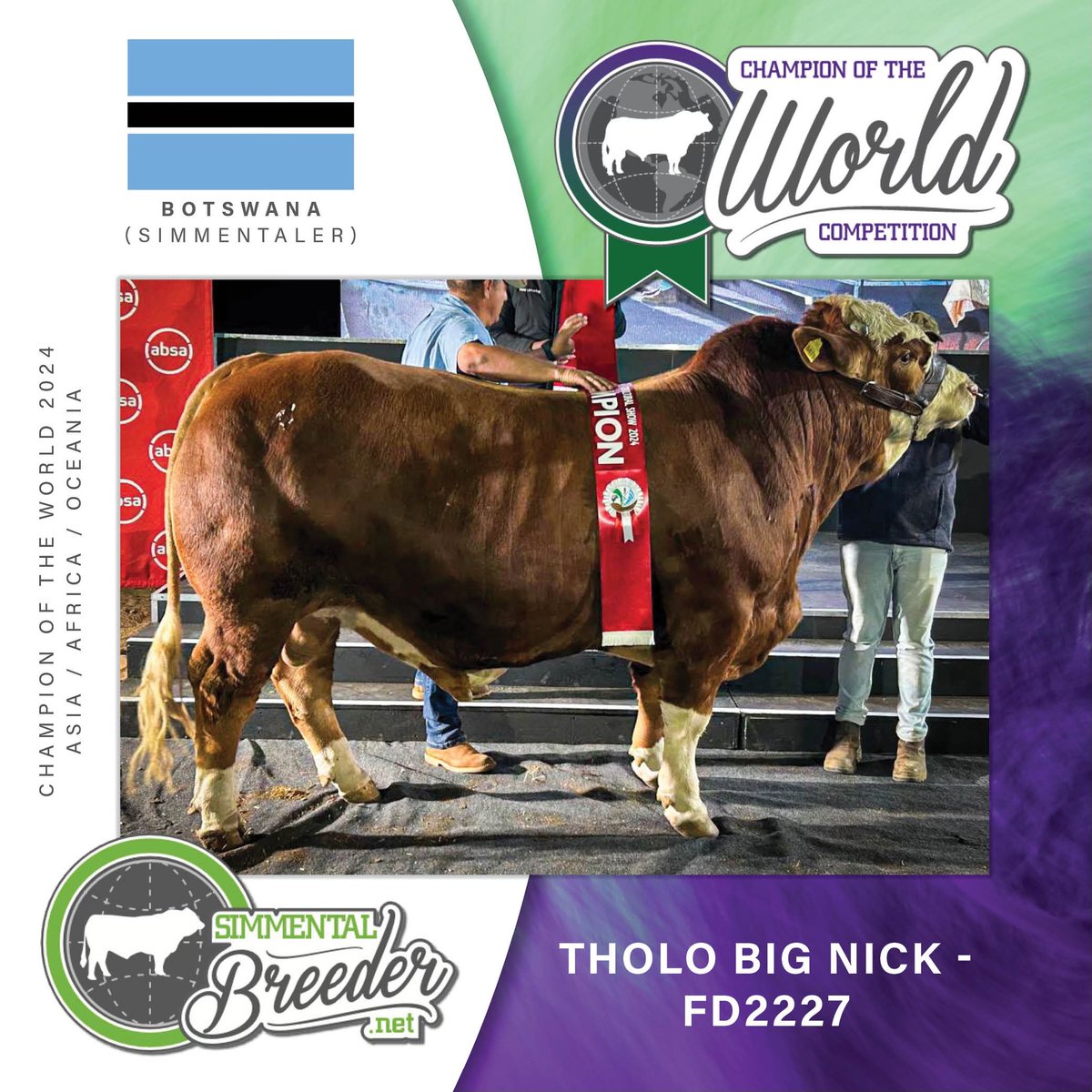 SimmentalerZA's tweet photo. A huge congratulations to the Tholo #Simmentaler stud from Gabane, Botswana, for earning Bronze with Tholo Big Nick FD2227 in the 2024 "Simmental - Champion of Asia/Africa/Oceania" competition. What an outstanding achievement for the breed and the region! https://t.co/ozCCBxI2Hs