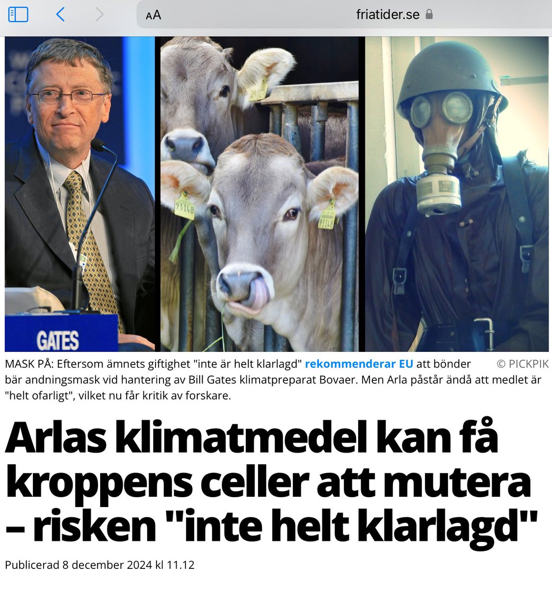 Patrik33826171's tweet photo. @PlainviewLegacy @agiterande @Aftonbladet Så SÄKERT att bönderna uppmanas bära skyddsmask när de hanterar ”kosttillskottet”…
…tänk då hur ENORMT SÄKERT det måste var INUTI korna!
#LetCowsFart
#StopFuckingWithAnimals https://t.co/NguqgWlo2S