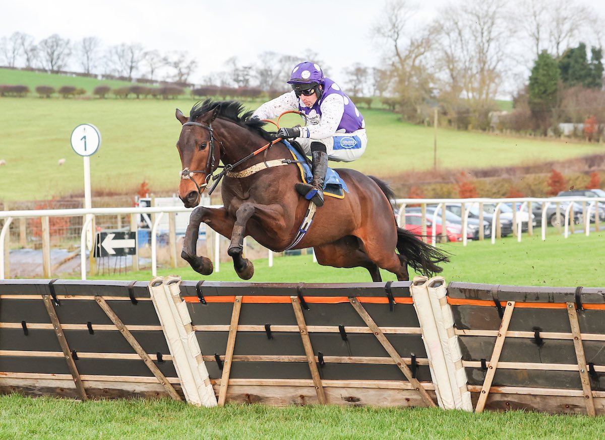 🌟WINNER🌟 Fantastic win from DEDICATED HERO with <a href="/mania450/">ryan mania</a> <a href="/KelsoRacecourse/">Kelso Racecourse</a> 🥂🍾
