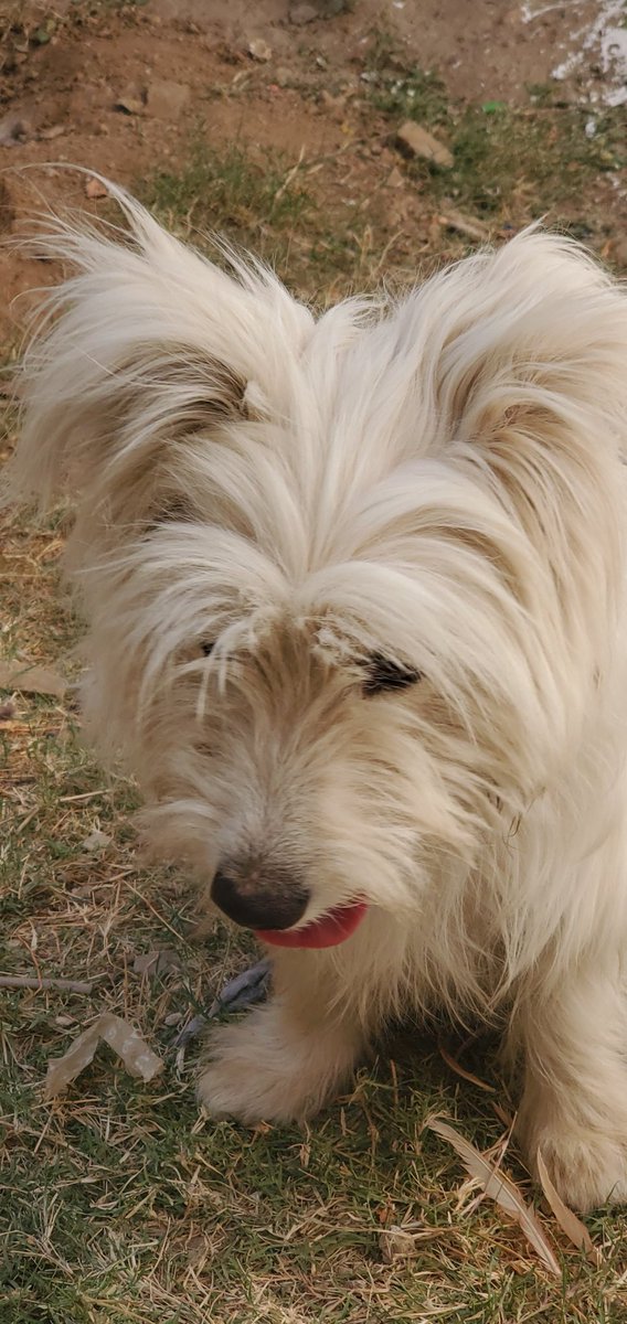 The account is not represent Le Royal Monceau (@leroyalmonceau) on Twitter photo 