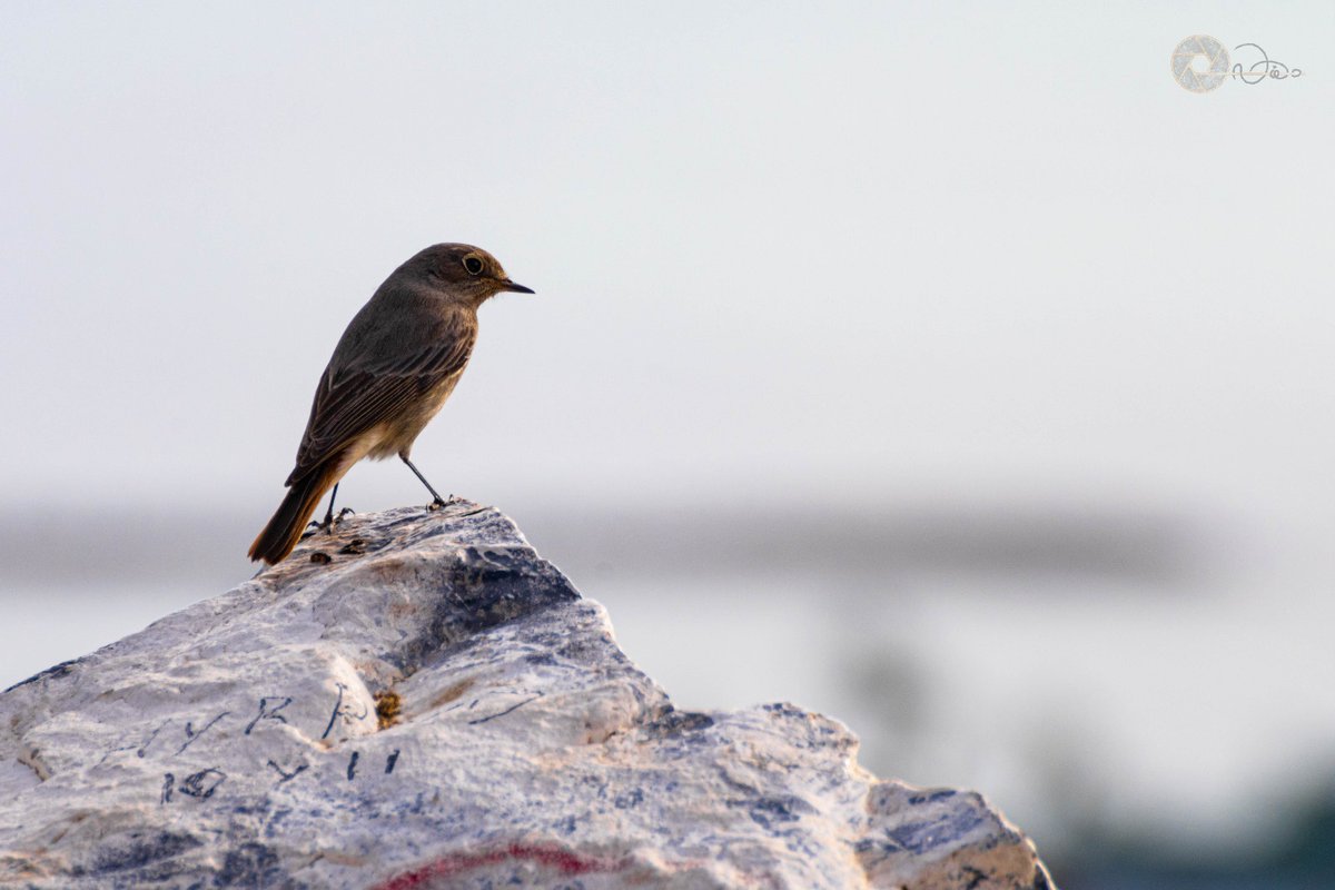 Barrios Abandonados 👁️💚 tweet media