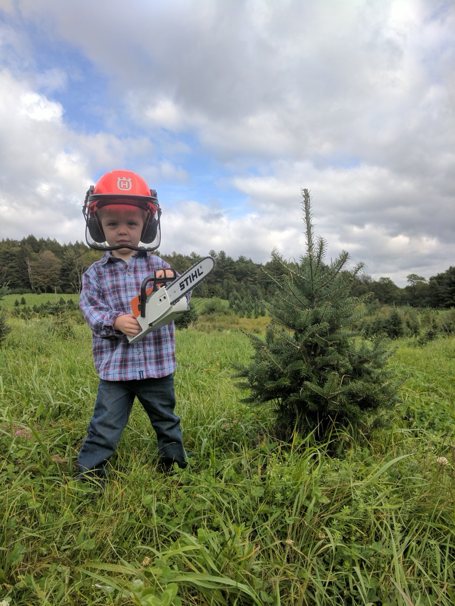 WalkerFarm's tweet photo. Still lots of beautiful pre-cut Balsam &amp; Fraser Christmas Trees, 6-14 feet. Hope to have trees until Christmas Eve, 2024! https://t.co/rjri12035l