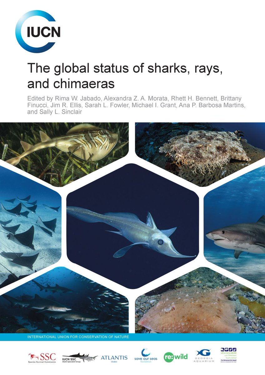 Sharks4Kids's tweet photo. #SharkScienceSunday
Reposted from IUCN Species Survival Commission Shark Specialist Group:

"BREAKING: The IUCN Species Survival Commission Shark Specialist Group has released a new report on the global conservation status of sharks and their relatives.

https://t.co/ct3yLUzevM https://t.co/aj8rt2WHL2