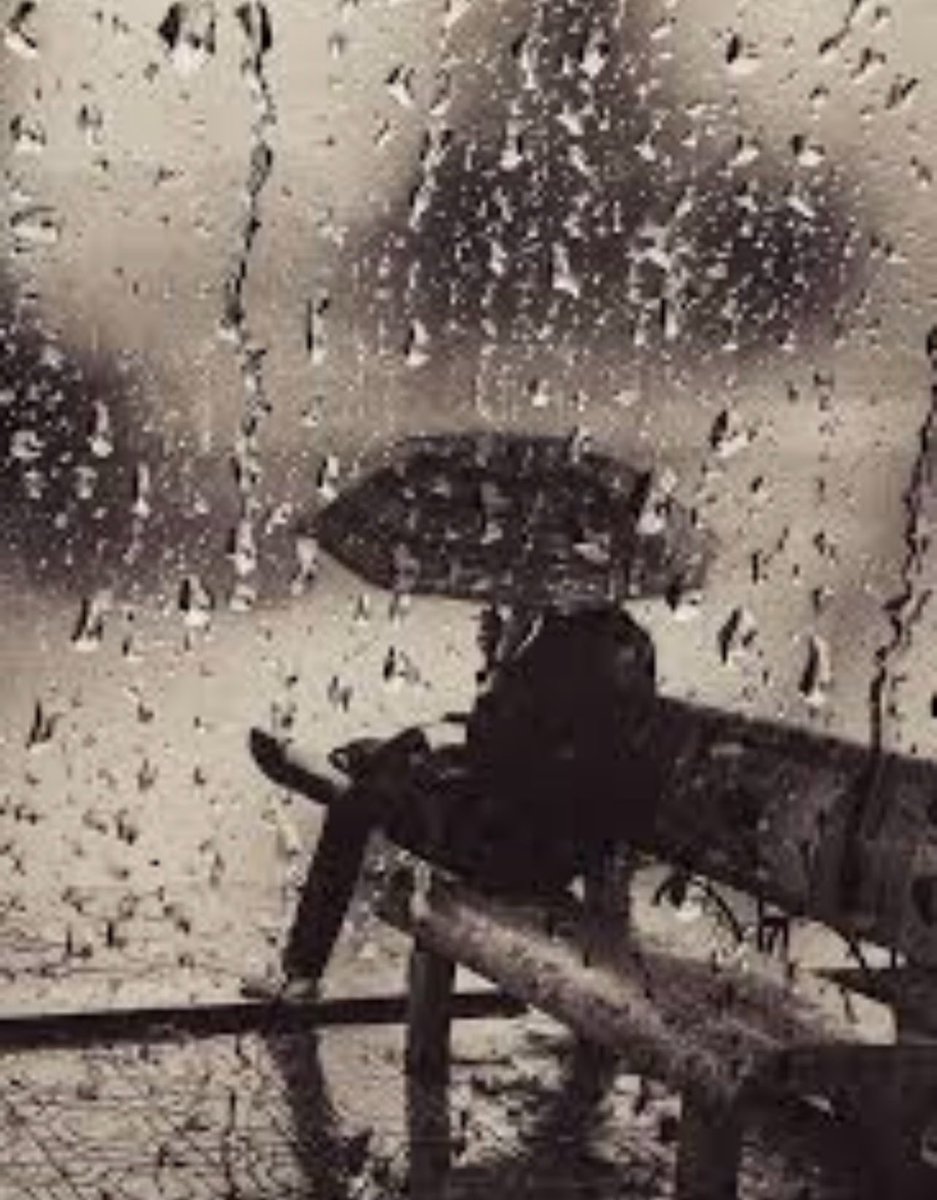 يُصاغُ النبضُ للقرّآء دُرًّا
ونبضُ القلبِ بالآذان يسري

هدوءُ الليلِ يتبعُ كلَّ خفقٍ
وأذن الصبحِ لاتدري بشعري

فهل تدري إذا مادقَّ معنى
بأدغالِ الضمائمِ جوفَ صدري

كبدرٍ لايُرى في ليلِ غَيثٍ
فتاهَ المُدلجون بليلِ بدرِ