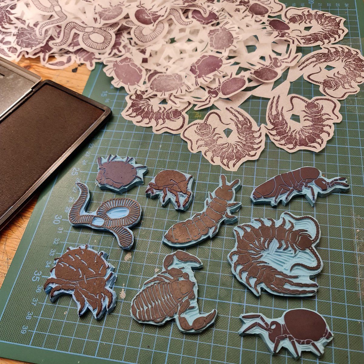 Svenja Meyer (@fminifera) on Twitter photo I fell into the christmas decoration rabbit whole today. It's quiet meditative to cut these pretty symmetrical patterns. Plus I am happy to have found another use for my #soilanimal stamps. I fell into the christmas decoration rabbit whole today. It's quiet meditative to cut these pretty symmetrical patterns. Plus I am happy to have found another use for my #soilanimal stamps.