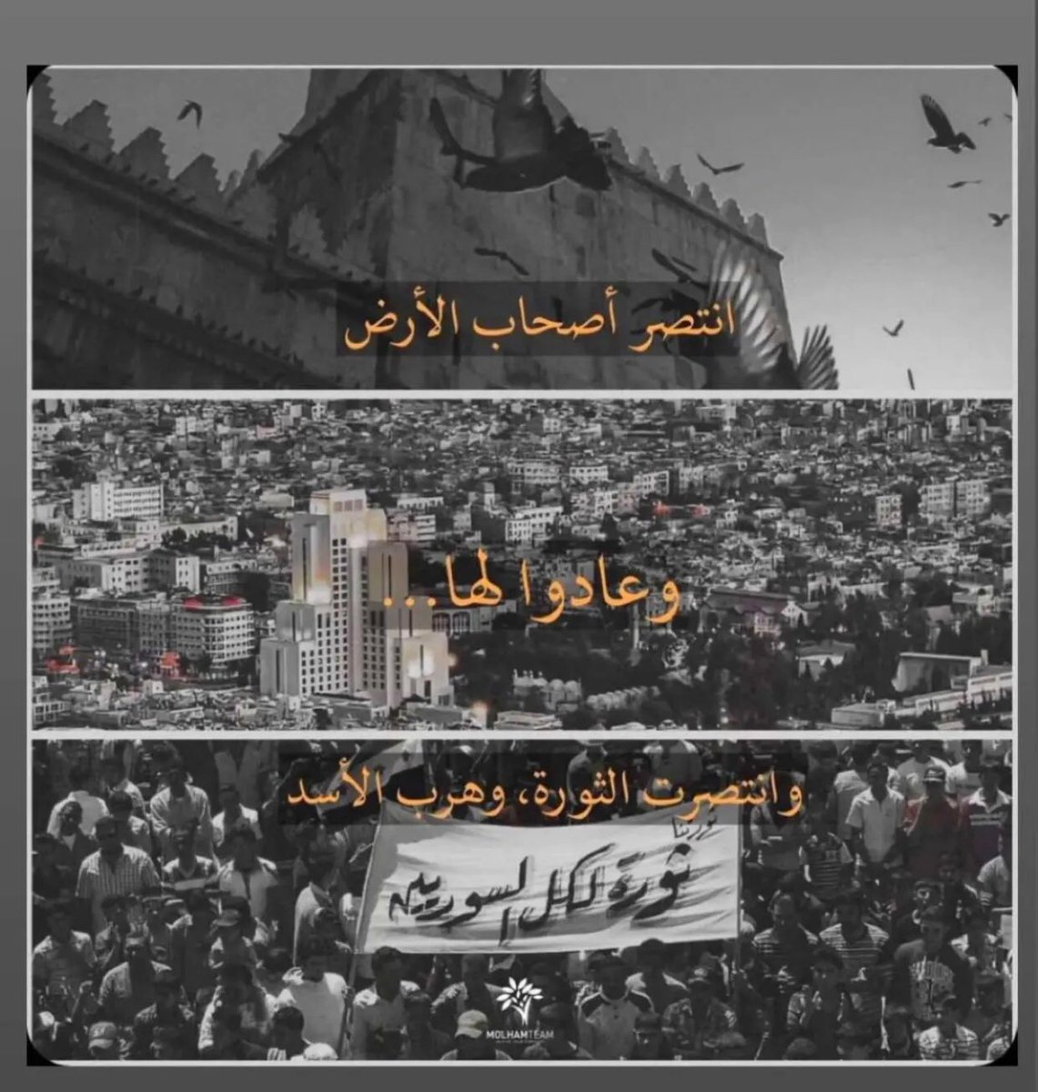 mjrdwqt's tweet photo. انتصر أصحاب الأرض 🇸🇾

#سوريا #سوريا_الان #Syria https://t.co/xH6aOsEyng