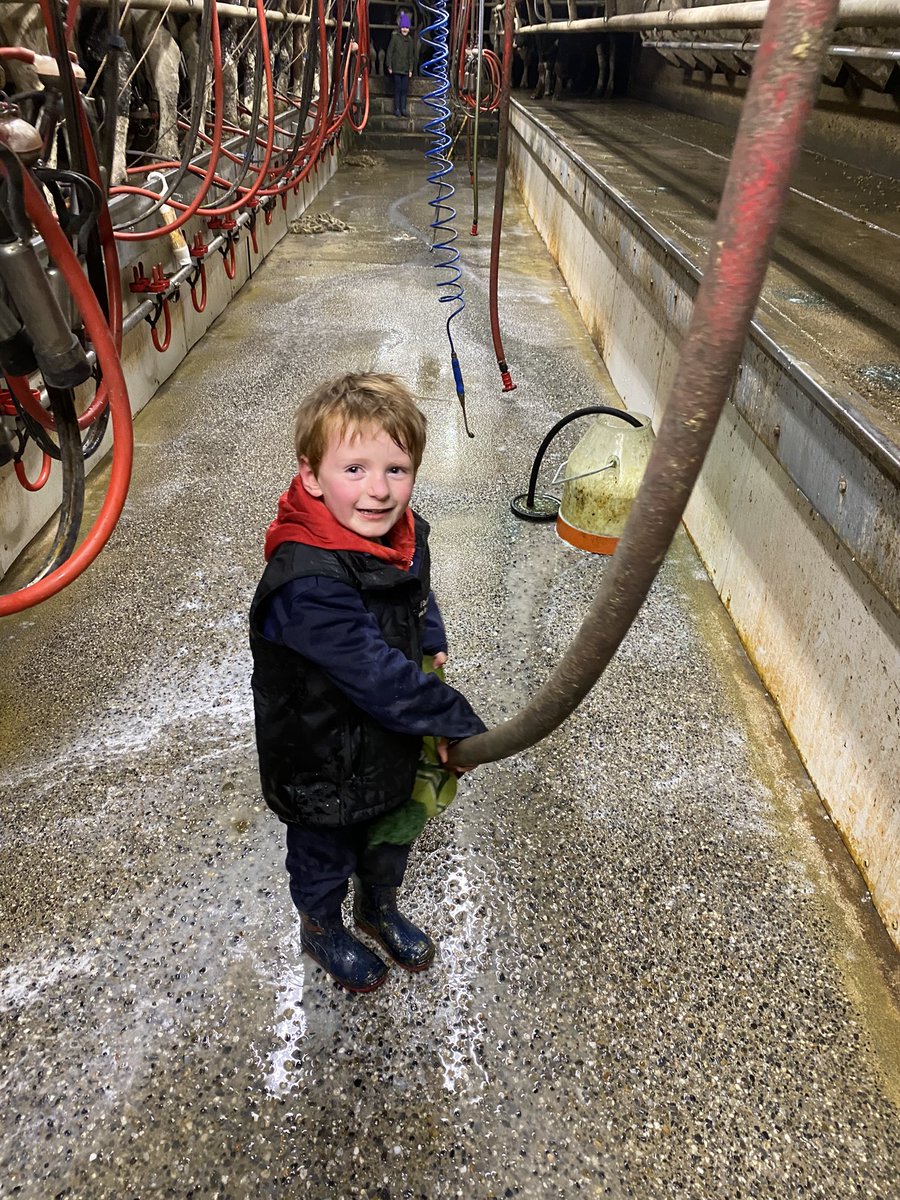 Massive divilment being caused with the wash down hose #SundayEveningMilkings