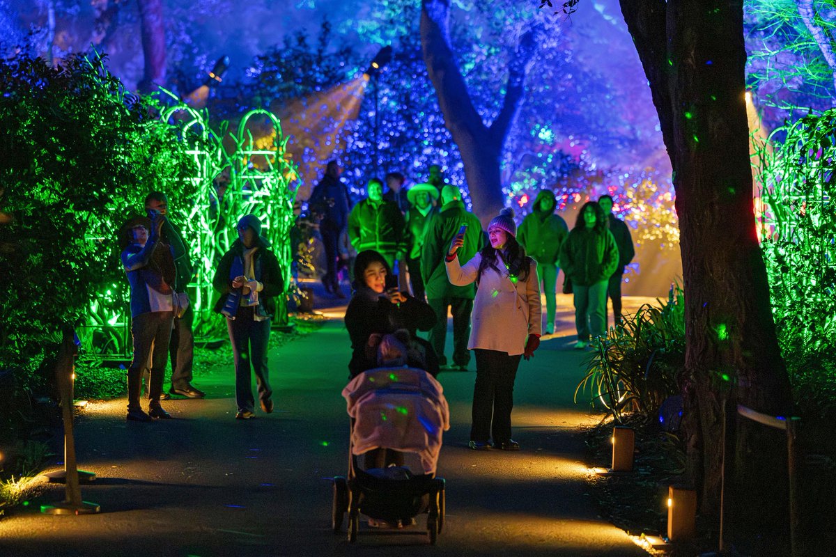 Last chance for discounted Enchanted tickets ✨ Tickets to #Enchanted Forest of Light are $10–$15 for members and $17–$22 for non-members on Monday and Tuesday, Dec. 9 and 10.

Learn more or get your tickets at descansogardens.org/enchanted

Photo © Kathryn Rapier