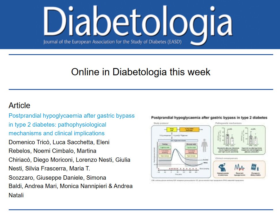 Guess who's on Diabetologia newsletter? 

Discover when, why and how post prandial hypoglycemia happens in our newest article (it's free and has cool graphs)➡️ doi.org/10.1007/s00125…