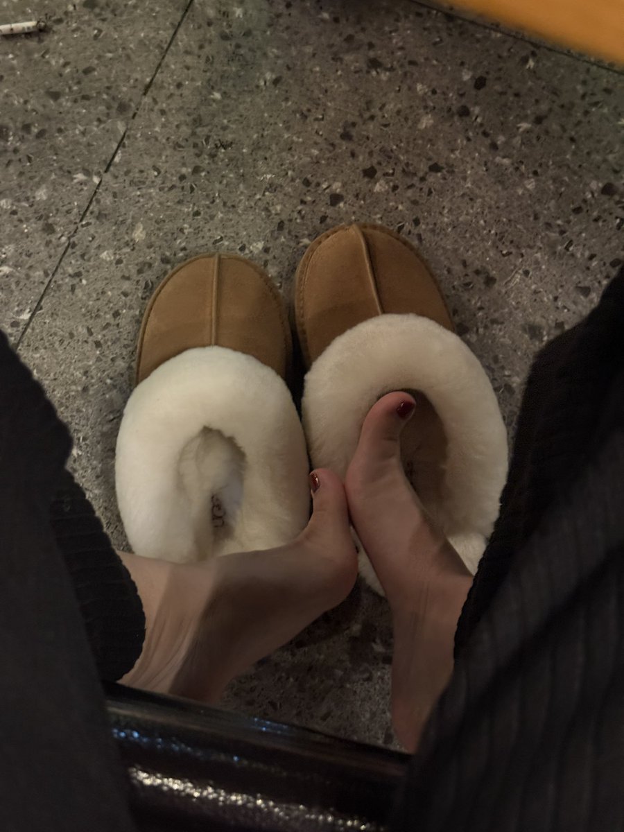 感觉自己情绪稳定的像个卡皮巴拉😑