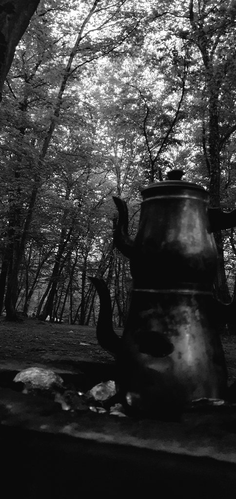 Bırak ay gitsin, sen kal bu gece.