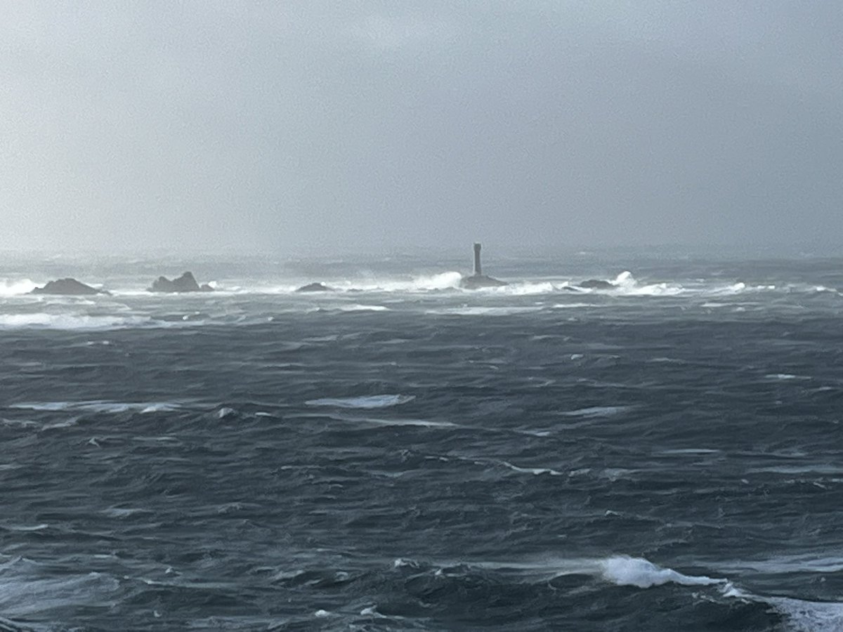 Scott Hamilton tweet media