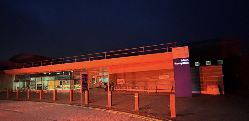 Swan Team tweet media