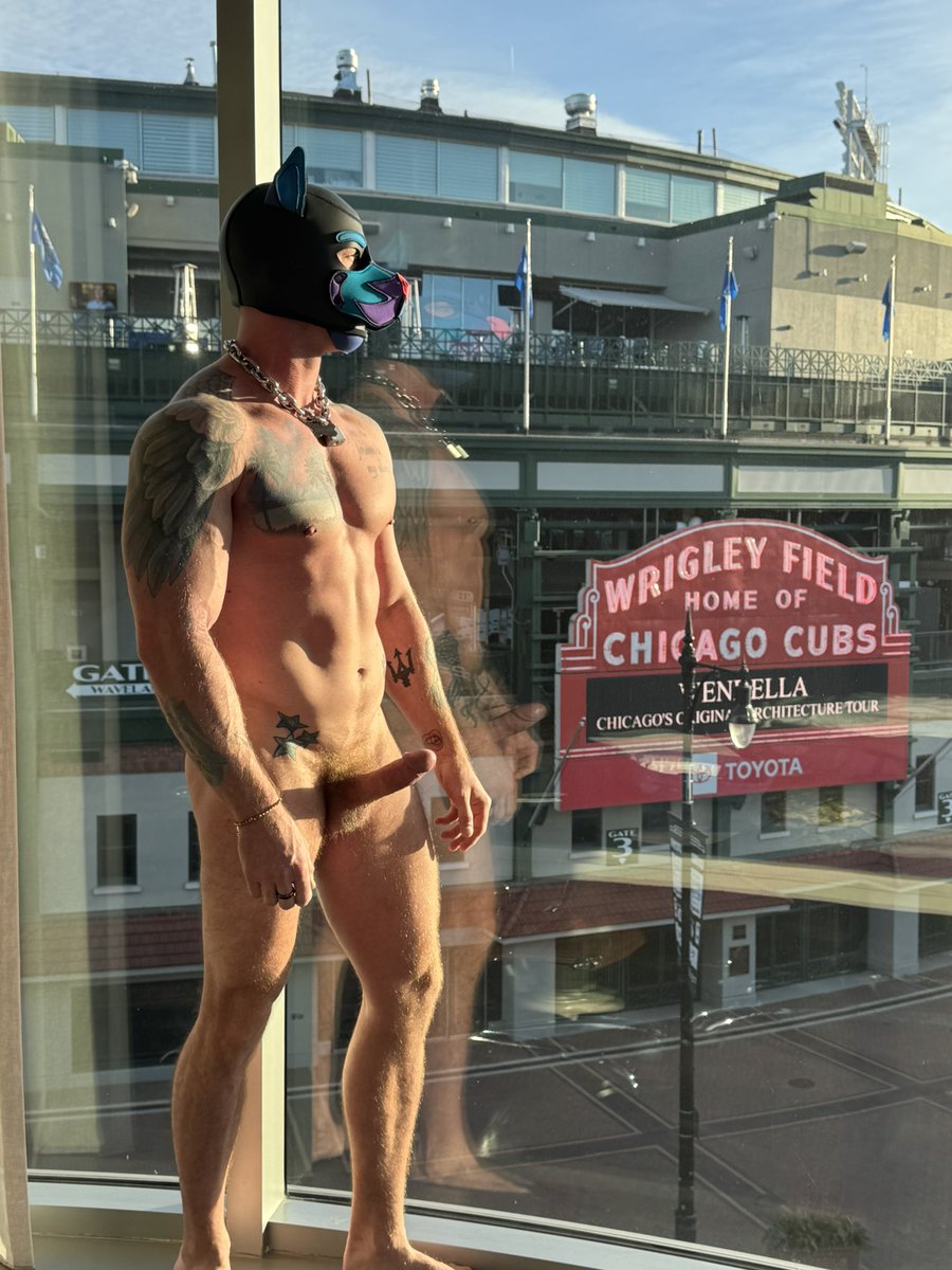 PupHarlow's tweet photo. Good morning Chicago…where are my good service boys at?? 🐶😈 https://t.co/rQU52qgJvo