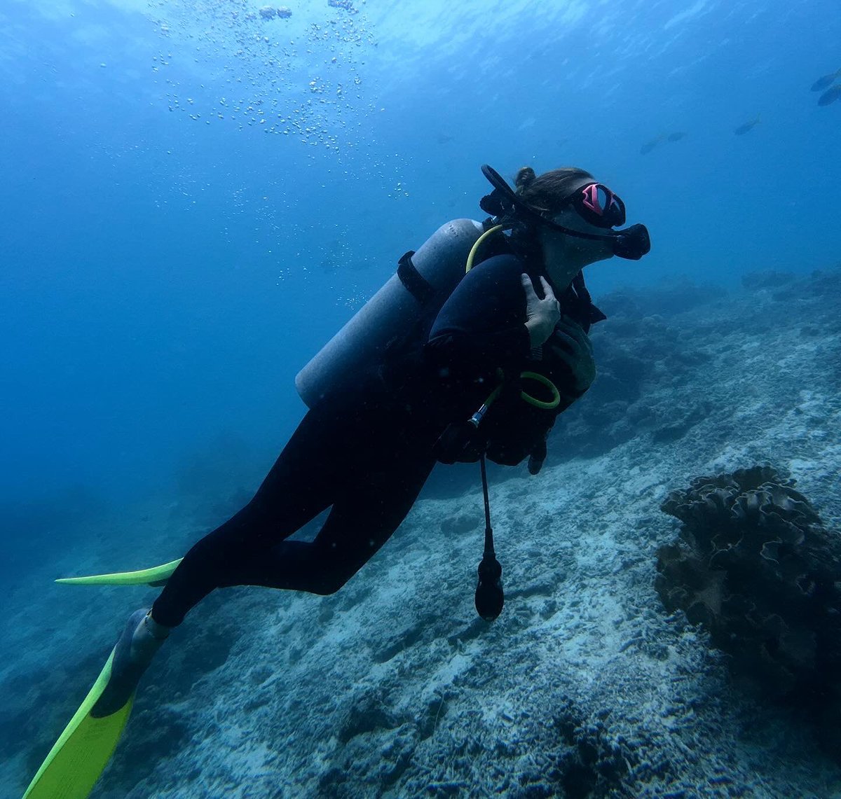 Emma Stretton-Downes tweet media