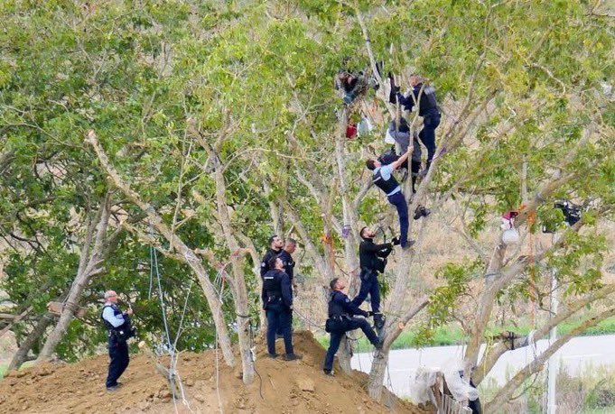 ⚖️ « Concernant l’A69, le fait que les travaux aient démarré sans attendre la décision du juge est très étonnant. Soit les conseillers de la société autoroutière ont mal appréhendé le risque juridique, soit c'est la société elle-même qui a absolument voulu lancer les travaux.