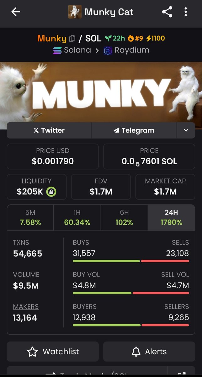 Meme Coins Flipper tweet media