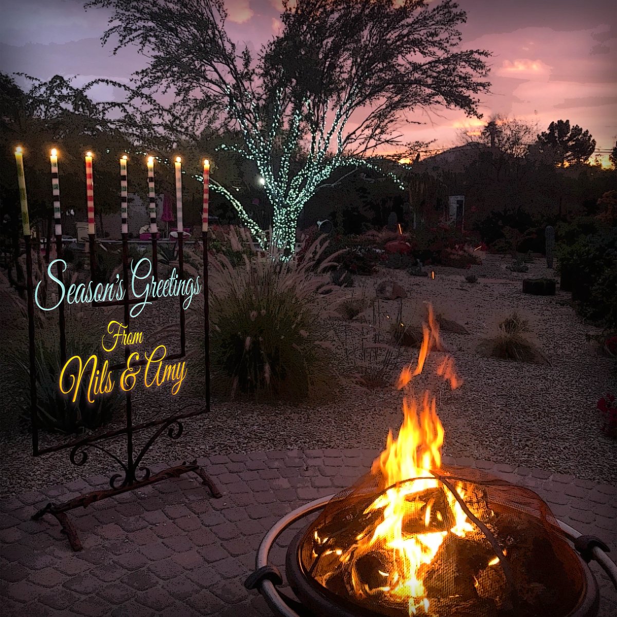 Nils Lofgren tweet media