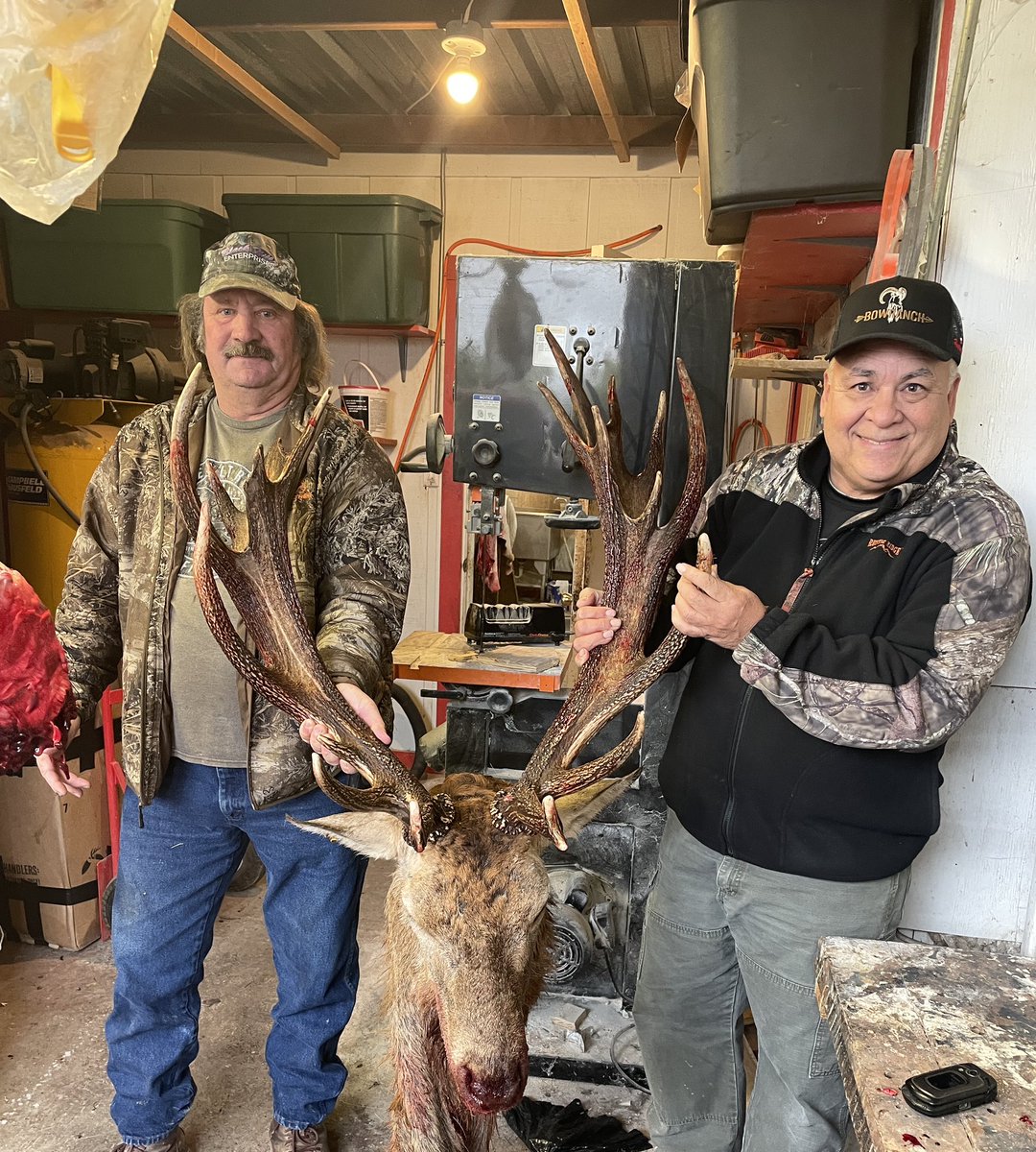 ArceTony's tweet photo. Red Stag taken at the Bowranch in Uvalde County. #bowranch #freerangehunting # redstag https://t.co/VclRjn1aTf