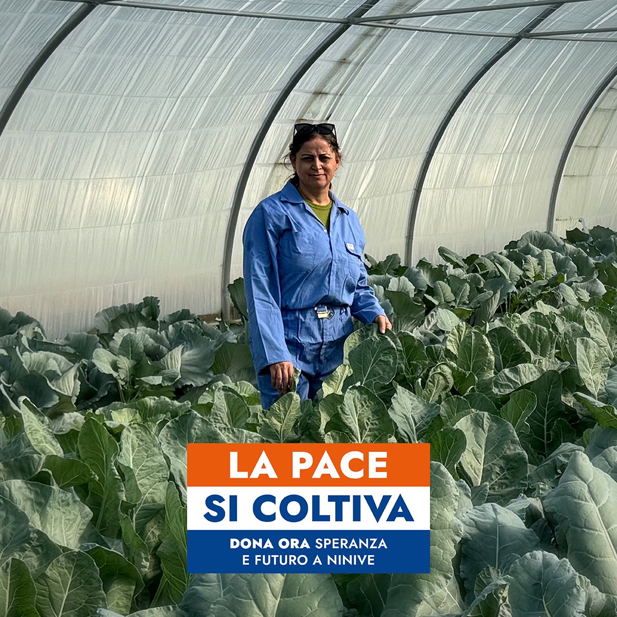 FOCSIV's tweet photo. LA PACE SI COLTIVA ๐ข Campagna di Natale #Focsiv ๐ NOURA รจ una delle donne coraggiose che oggi รจ diventata un esempio nella sua comunitร . Leggi la storia di NOURA ๐ https://t.co/im5pmcXjHi ๐๐ข๐ก๐ ๐ข๐ฅ๐!๐https://t.co/IBIJ5iIhxS
#coltiviamolapace https://t.co/lSta1vNUe4