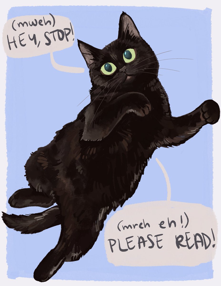 chelsea stingel tweet media