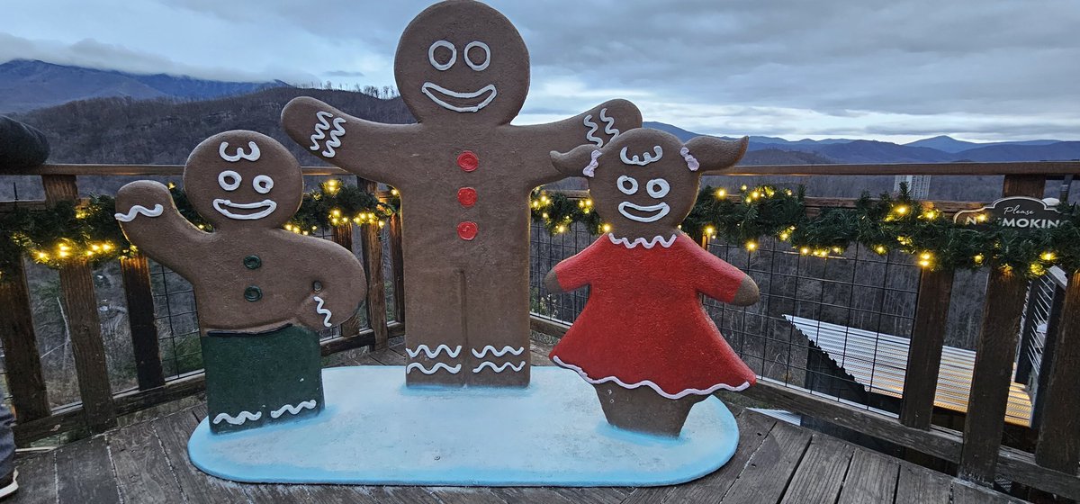 Dinner with a view
(At <a href="/AnakeestaTN/">Anakeesta</a> in <a href="/TravelGburg/">Visit Gatlinburg</a>)