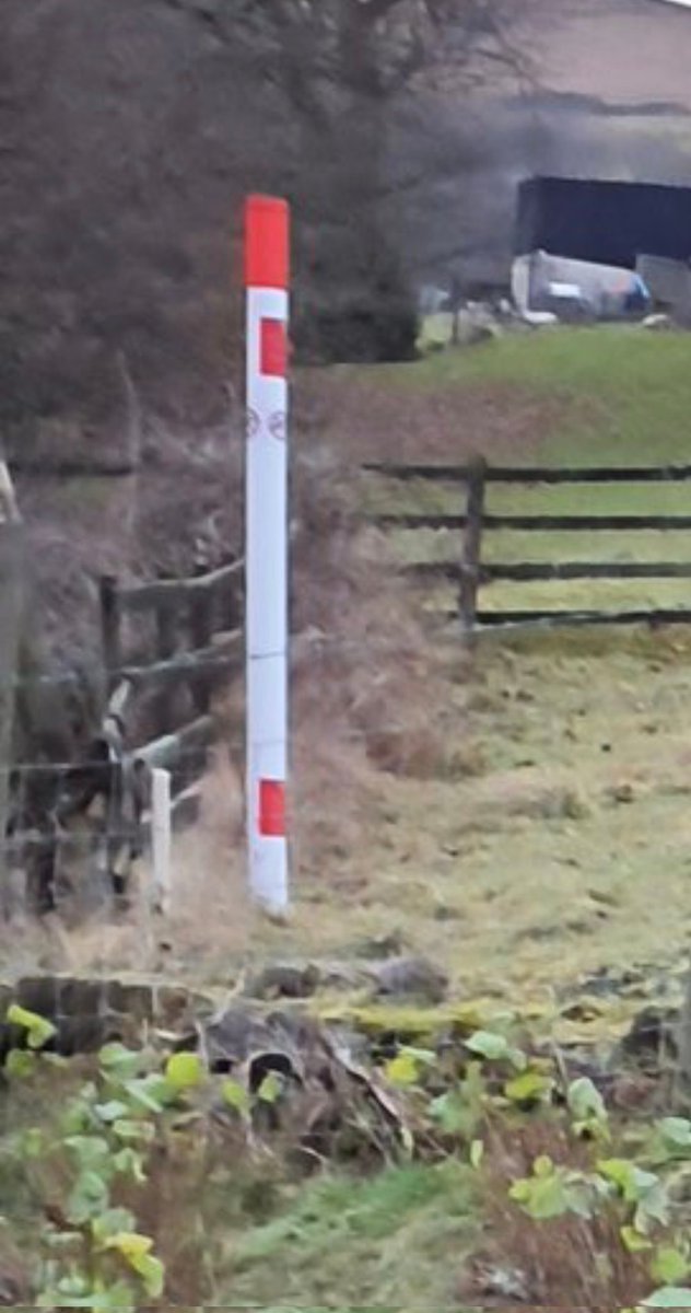 Rυвσηιѕt tweet media