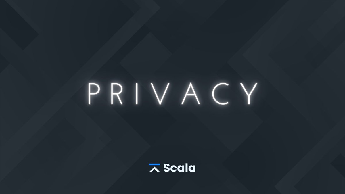 Other blockchains track you.

Scala protects you.

We're not built the same.