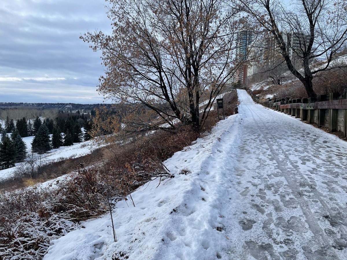 minfengtang's tweet photo. Fresh air, snow crunching, birds chirping-winter trail walks in Edmonton just hit right. https://t.co/LX3j1cDerZ