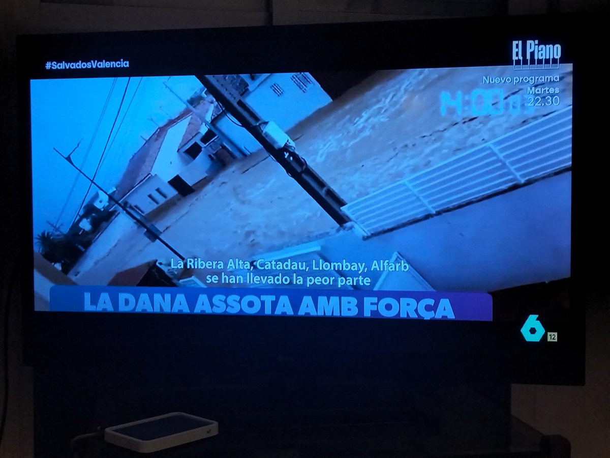 Anna Juan Roch tweet media