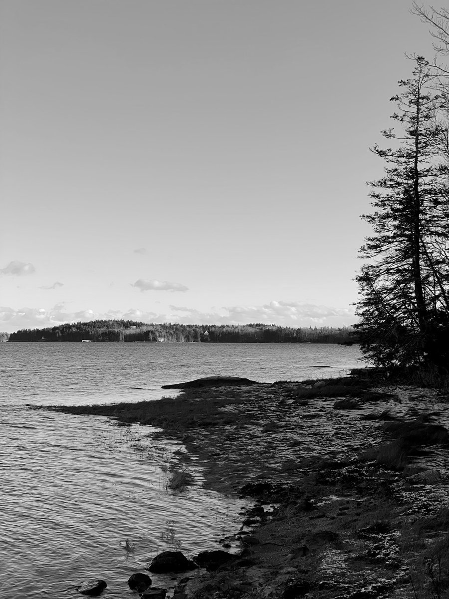 fhomoney's tweet photo. 😍 Maine is 4 Me because rich people donate their land to trusts. They pay for trails along the shoreline to be open, maintained and enjoyed by anyone, everyone and forever! 

#ME4ME #WeekendWalkies #Downeast #Maine #PineTreePatriots @TruthSlingerX @Motoxnut8634 @CiderHype  😉 https://t.co/ssbUG0tGyy
