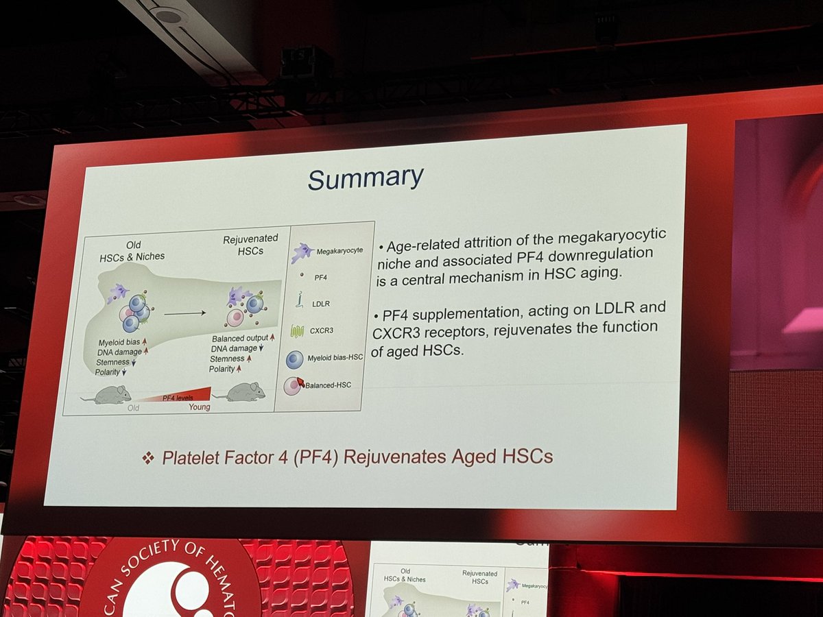 VJHemOnc tweet media