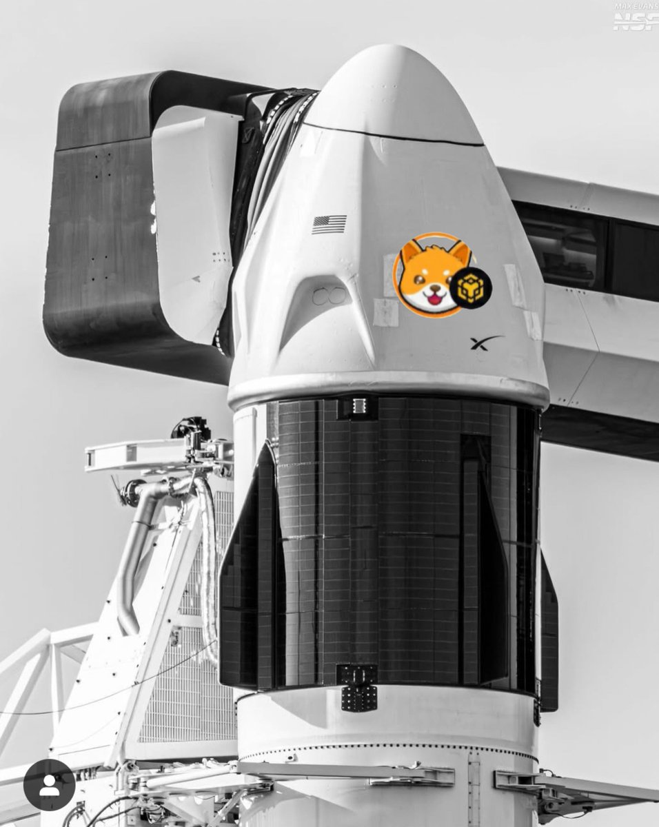 IRF4203's tweet photo. @elonmusk #DOFI doge floki is ready for Mars https://t.co/aPDggLifuW