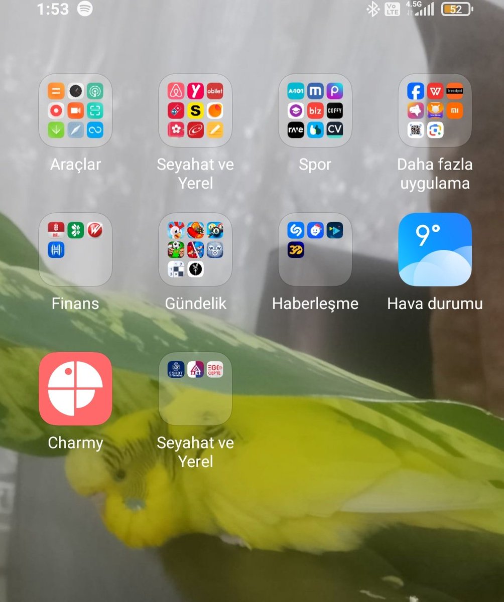 Charmy...  Elim günlük gidiyor ne kullanabiliyorum ne silebiliyorum burda ama dokunamıyorum çok saçma