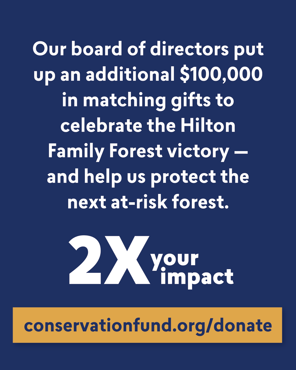 The Conservation Fund (@conservationfnd) on Twitter photo ‼️ Big News: Our board of directors has put up an additional $100k in matching funds to celebrate the Hilton Family Forest victory! That means $100k is now 👉 $200k 👈 in matching funds to protect at-risk forests across the country. Give now: conservationfund.org/donate. ‼️ Big News: Our board of directors has put up an additional $100k in matching funds to celebrate the Hilton Family Forest victory! That means $100k is now 👉 $200k 👈 in matching funds to protect at-risk forests across the country. Give now: conservationfund.org/donate.