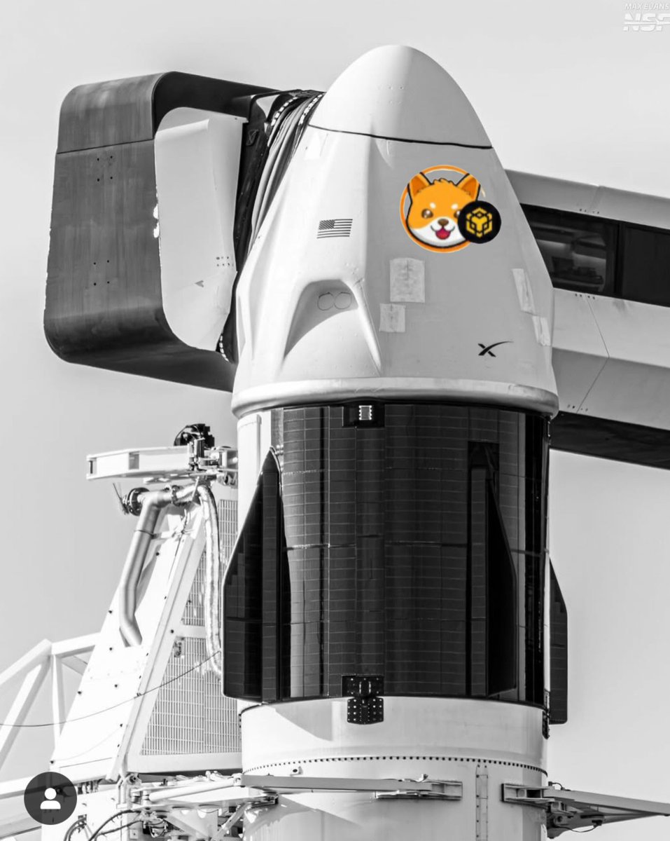 IRF4203's tweet photo. @elonmusk #DOFI doge floki is ready for multiplanetary trips.  #spacetrips https://t.co/lOwp0Bze7b