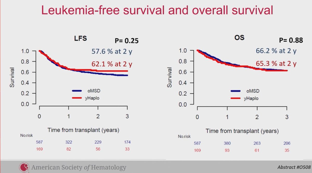 Razan_Mohty's tweet photo. Study by the #ALWP of @TheEBMT presented by Eolia Brissot in pts 45+ w/ #ALL
👉older MSD vs younger Haplo similar long terms outcomes
👉Higher NRM with yhaplo, higher risk of relapse with oMSD
#ASH24 #ASH24rm @Mohty_EBMT https://t.co/wVR7IINdBn
